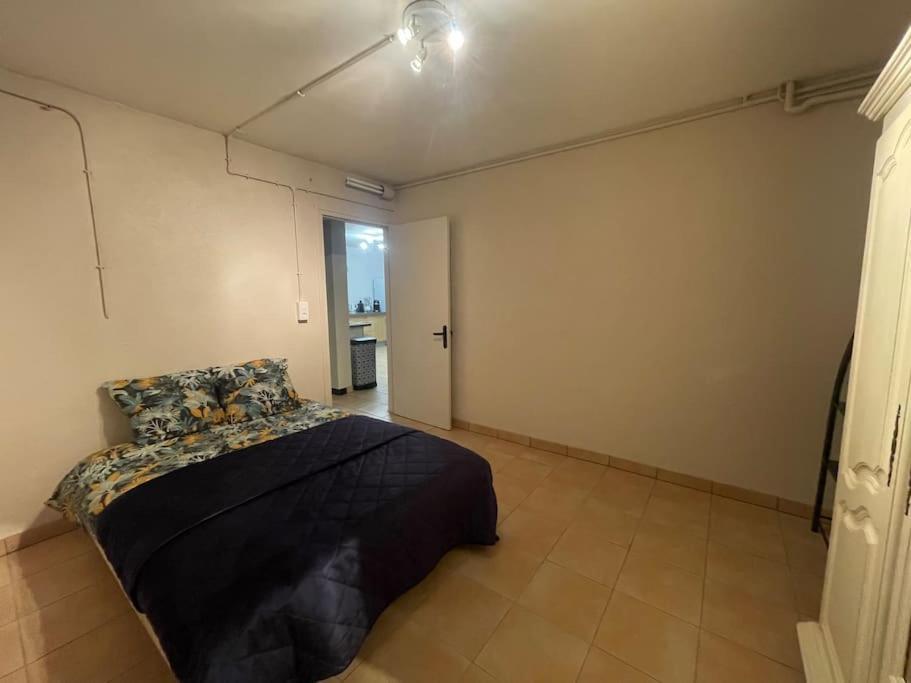Appartement Independant En Rdc Chez Habitant Ланемезан Екстериор снимка